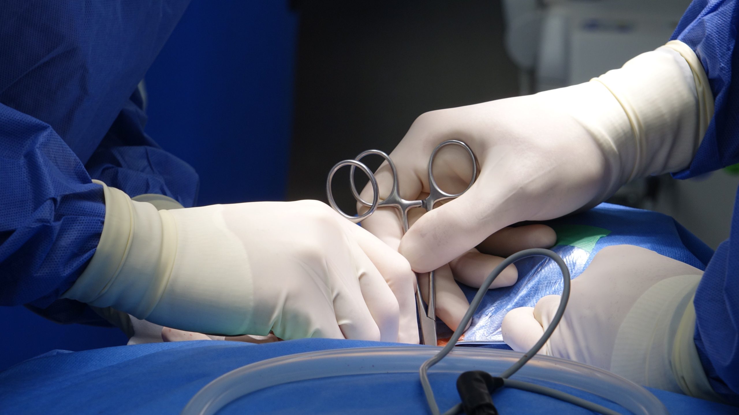 An image by Viktors Duks on Pexels which shows gloved hands with surgical implements.
