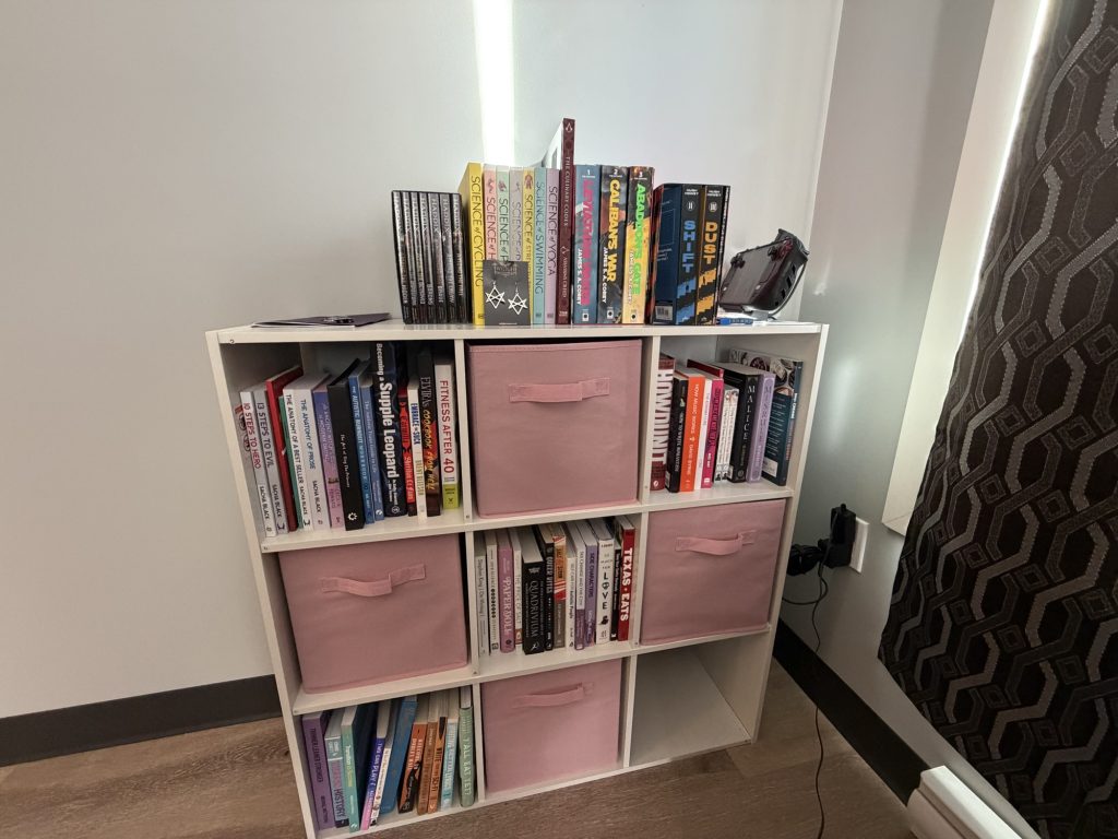 My bookshelf, as it currently stands on the day I wrote this post.